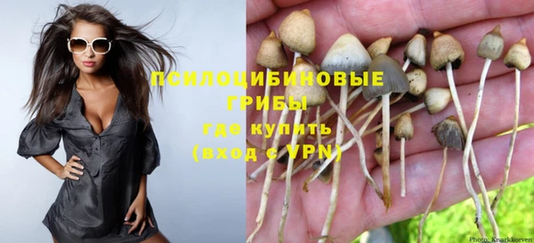 дурь Алексеевка