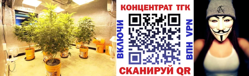магазин    Невинномысск  Дистиллят ТГК жижа 