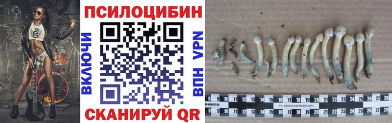 Галлюциногенные грибы прущие грибы  Невинномысск 